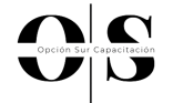 OPCIÓN SUR